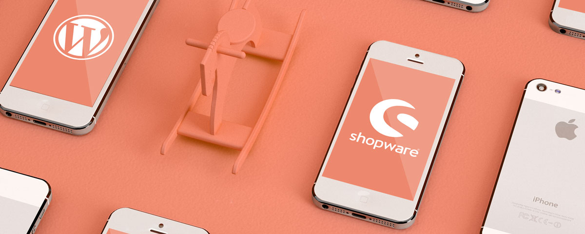 CMS_WordPress_Shopware_Tools_Ideenbude